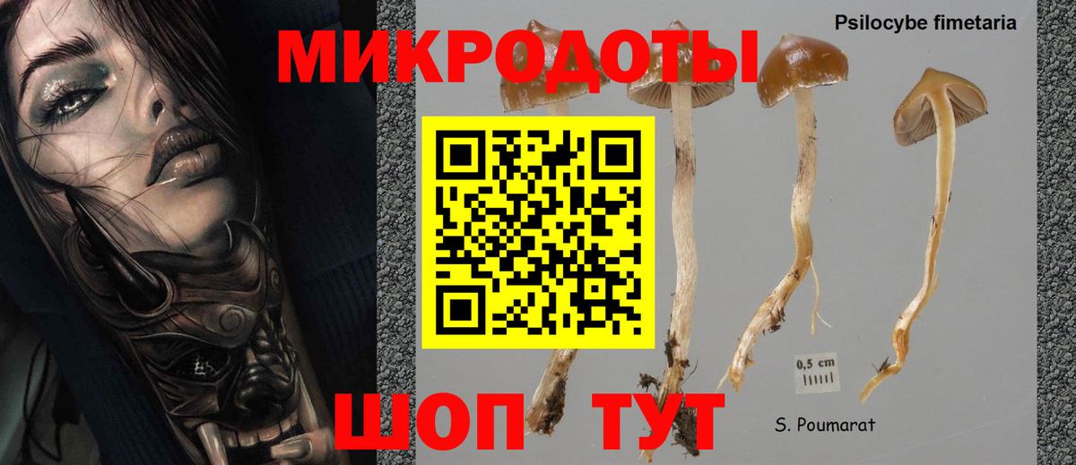 Псилоцибиновые грибы мухоморы Южно-Сахалинск